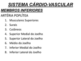 SISTEMA CÁRDIO-VASCULAR
MEMBROS INFERIORES
ARTÉRIA POPLÍTEA
1. Musculares Superiores
2. Surais
3. Cutâneos
4. Superior Medial do Joelho
5. Superior Lateral do Joelho
6. Médio do Joelho
7. Inferior Medial do Joelho
8. Inferior Lateral do Joelho
 