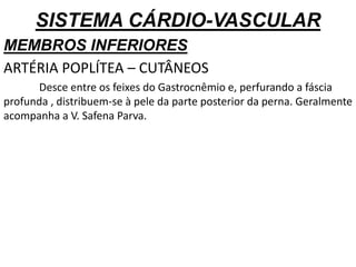 SISTEMA CÁRDIO-VASCULAR
MEMBROS INFERIORES
ARTÉRIA POPLÍTEA – CUTÂNEOS
Desce entre os feixes do Gastrocnêmio e, perfurando a fáscia
profunda , distribuem-se à pele da parte posterior da perna. Geralmente
acompanha a V. Safena Parva.
 