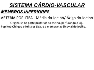 SISTEMA CÁRDIO-VASCULAR
MEMBROS INFERIORES
ARTÉRIA POPLÍTEA - Média do Joelho/ Ázigo do Joelho
Origina-se na parte posterior do Joelho, perfurando o Lig.
Poplíteo Oblíquo e irriga os Ligg. e a membranas Sinovial do joelho.
 