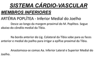 SISTEMA CÁRDIO-VASCULAR
MEMBROS INFERIORES
ARTÉRIA POPLÍTEA - Inferior Medial do Joelho
Desce ao longo da margem proximal do M. Poplíteo. Segue
abaixo do côndilo medial da Tíbia.
Na borda anterior do Lig. Colateral da Tíbia sobe para as faces
anterior e medial do joelho para irrigar a epífise proximal da Tíbia.
Anastomosa-se comas Aa. Inferior Lateral e Superior Medial do
Joelho.
 