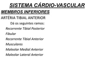 SISTEMA CÁRDIO-VASCULAR
MEMBROS INFERIORES
ARTÉRIA TIBIAL ANTERIOR
Dá os seguintes ramos:
Recorrente Tibial Posterior
Fibular
Recorrente Tibial Anterior
Musculares
Maleolar Medial Anterior
Maleolar Lateral Anterior
 