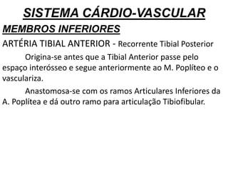 SISTEMA CÁRDIO-VASCULAR
MEMBROS INFERIORES
ARTÉRIA TIBIAL ANTERIOR - Recorrente Tibial Posterior
Origina-se antes que a Tibial Anterior passe pelo
espaço interósseo e segue anteriormente ao M. Poplíteo e o
vasculariza.
Anastomosa-se com os ramos Articulares Inferiores da
A. Poplítea e dá outro ramo para articulação Tibiofibular.
 