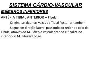 SISTEMA CÁRDIO-VASCULAR
MEMBROS INFERIORES
ARTÉRIA TIBIAL ANTERIOR – Fibular
Origina-se algumas vezes da Tibial Posterior também.
Segue em direção lateral passando ao redor do colo da
Fíbula, através do M. Sóleo o vascularizando e finaliza no
interior do M. Fibular Longo.
 