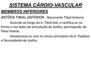 SISTEMA CÁRDIO-VASCULAR
MEMBROS INFERIORES
ARTÉRIA TIBIAL ANTERIOR - Recorrente Tibial Anterior
Ascende ao longo da A. Tibial Ant. e ramifica-se na
frente e nos lados da articulação do Joelho, participando do
Plexo Patelar.
Anastomosa-se com os ramos articulares da A. Poplítea
e Descendente do Joelho.
 