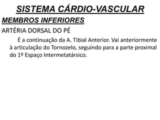 SISTEMA CÁRDIO-VASCULAR
MEMBROS INFERIORES
ARTÉRIA DORSAL DO PÉ
É a continuação da A. Tibial Anterior. Vai anteriormente
à articulação do Tornozelo, seguindo para a parte proximal
do 1º Espaço Intermetatársico.
 