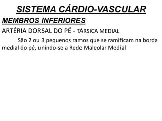 SISTEMA CÁRDIO-VASCULAR
MEMBROS INFERIORES
ARTÉRIA DORSAL DO PÉ - TÁRSICA MEDIAL
São 2 ou 3 pequenos ramos que se ramificam na borda
medial do pé, unindo-se a Rede Maleolar Medial
 