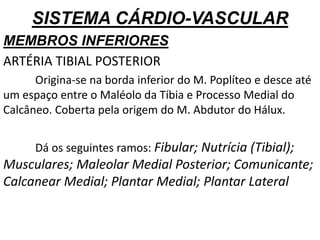 SISTEMA CÁRDIO-VASCULAR
MEMBROS INFERIORES
ARTÉRIA TIBIAL POSTERIOR
Origina-se na borda inferior do M. Poplíteo e desce até
um espaço entre o Maléolo da Tíbia e Processo Medial do
Calcâneo. Coberta pela origem do M. Abdutor do Hálux.
Dá os seguintes ramos: Fibular; Nutrícia (Tibial);
Musculares; Maleolar Medial Posterior; Comunicante;
Calcanear Medial; Plantar Medial; Plantar Lateral
 