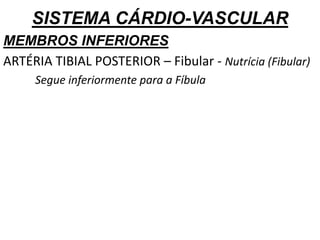 SISTEMA CÁRDIO-VASCULAR
MEMBROS INFERIORES
ARTÉRIA TIBIAL POSTERIOR – Fibular - Nutrícia (Fibular)
Segue inferiormente para a Fíbula
 