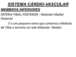 SISTEMA CÁRDIO-VASCULAR
MEMBROS INFERIORES
ARTÉRIA TIBIAL POSTERIOR - Maleolar Medial
Posterior
É o um pequeno ramo que contorna o Maléolo
da Tíbia e termina na rede Maleolar Medial.
 