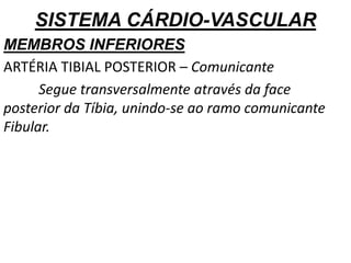 SISTEMA CÁRDIO-VASCULAR
MEMBROS INFERIORES
ARTÉRIA TIBIAL POSTERIOR – Comunicante
Segue transversalmente através da face
posterior da Tíbia, unindo-se ao ramo comunicante
Fibular.
 