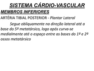 SISTEMA CÁRDIO-VASCULAR
MEMBROS INFERIORES
ARTÉRIA TIBIAL POSTERIOR - Plantar Lateral
Segue obliquamente na direção lateral até a
base do 5º metatársico, logo após curva-se
medialmente até o espaço entre as bases do 1º e 2º
ossos metatársico
 