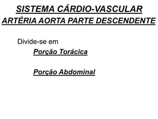 SISTEMA CÁRDIO-VASCULAR
ARTÉRIA AORTA PARTE DESCENDENTE
Divide-se em
Porção Torácica
Porção Abdominal
 