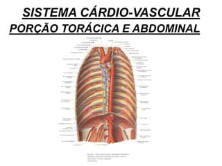 SISTEMA CÁRDIO-VASCULAR
PORÇÃO TORÁCICA E ABDOMINAL
 