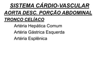 SISTEMA CÁRDIO-VASCULAR
AORTA DESC. PORÇÃO ABDOMINAL
TRONCO CELÍACO
Artéria Hepática Comum
Artéria Gástrica Esquerda
Artéria Esplênica
 