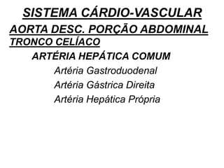 SISTEMA CÁRDIO-VASCULAR
AORTA DESC. PORÇÃO ABDOMINAL
TRONCO CELÍACO
ARTÉRIA HEPÁTICA COMUM
Artéria Gastroduodenal
Artéria Gástrica Direita
Artéria Hepática Própria
 