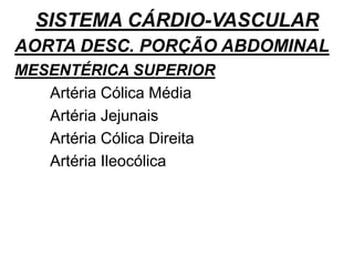 SISTEMA CÁRDIO-VASCULAR
AORTA DESC. PORÇÃO ABDOMINAL
MESENTÉRICA SUPERIOR
Artéria Cólica Média
Artéria Jejunais
Artéria Cólica Direita
Artéria Ileocólica
 