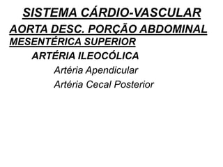 SISTEMA CÁRDIO-VASCULAR
AORTA DESC. PORÇÃO ABDOMINAL
MESENTÉRICA SUPERIOR
ARTÉRIA ILEOCÓLICA
Artéria Apendicular
Artéria Cecal Posterior
 