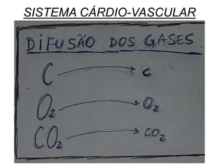 SISTEMA CÁRDIO-VASCULAR
 