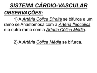 SISTEMA CÁRDIO-VASCULAR
OBSERVAÇÕES:
1) A Artéria Cólica Direita se bifurca e um
ramo se Anastomosa com a Artéria Ileocólica
e o outro ramo com a Artéria Cólica Média.
2) A Artéria Cólica Média se bifurca.
 