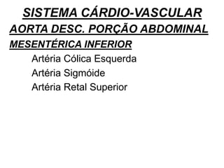 SISTEMA CÁRDIO-VASCULAR
AORTA DESC. PORÇÃO ABDOMINAL
MESENTÉRICA INFERIOR
Artéria Cólica Esquerda
Artéria Sigmóide
Artéria Retal Superior
 