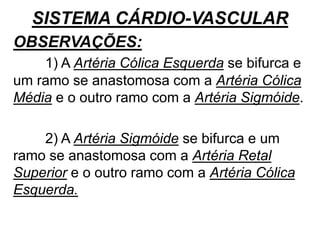 SISTEMA CÁRDIO-VASCULAR
OBSERVAÇÕES:
1) A Artéria Cólica Esquerda se bifurca e
um ramo se anastomosa com a Artéria Cólica
Média e o outro ramo com a Artéria Sigmóide.
2) A Artéria Sigmóide se bifurca e um
ramo se anastomosa com a Artéria Retal
Superior e o outro ramo com a Artéria Cólica
Esquerda.
 