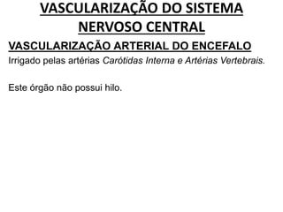 VASCULARIZAÇÃO DO SISTEMA
NERVOSO CENTRAL
VASCULARIZAÇÃO ARTERIAL DO ENCEFALO
Irrigado pelas artérias Carótidas Interna e Artérias Vertebrais.
Este órgão não possui hilo.
 