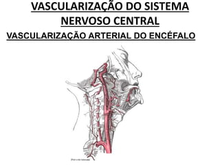VASCULARIZAÇÃO DO SISTEMA
NERVOSO CENTRAL
VASCULARIZAÇÃO ARTERIAL DO ENCÉFALO
 