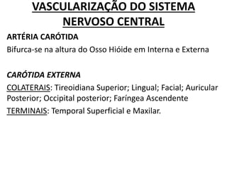 VASCULARIZAÇÃO DO SISTEMA
NERVOSO CENTRAL
ARTÉRIA CARÓTIDA
Bifurca-se na altura do Osso Hióide em Interna e Externa
CARÓTIDA EXTERNA
COLATERAIS: Tireoidiana Superior; Lingual; Facial; Auricular
Posterior; Occipital posterior; Faríngea Ascendente
TERMINAIS: Temporal Superficial e Maxilar.
 