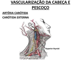 VASCULARIZAÇÃO DA CABEÇA E
PESCOÇO
ARTÉRIA CARÓTIDA
CARÓTIDA EXTERNA
 