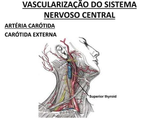 VASCULARIZAÇÃO DO SISTEMA
NERVOSO CENTRAL
ARTÉRIA CARÓTIDA
CARÓTIDA EXTERNA
 