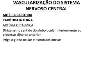VASCULARIZAÇÃO DO SISTEMA
NERVOSO CENTRAL
ARTÉRIA CARÓTIDA
CARÓTIDA INTERNA
ARTÉRIA OFTÁLMICA
Dirige-se no sentido do globo ocular inferiormente ao
processo clinóide anterior.
Irriga o globo ocular e estruturas anexas.
 