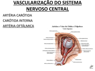 VASCULARIZAÇÃO DO SISTEMA
NERVOSO CENTRAL
ARTÉRIA CARÓTIDA
CARÓTIDA INTERNA
ARTÉRIA OFTÁLMICA
 