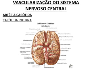 VASCULARIZAÇÃO DO SISTEMA
NERVOSO CENTRAL
ARTÉRIA CARÓTIDA
CARÓTIDA INTERNA
 