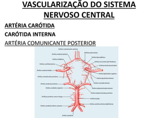 VASCULARIZAÇÃO DO SISTEMA
NERVOSO CENTRAL
ARTÉRIA CARÓTIDA
CARÓTIDA INTERNA
ARTÉRIA COMUNICANTE POSTERIOR
 