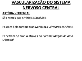 VASCULARIZAÇÃO DO SISTEMA
NERVOSO CENTRAL
ARTÉRIA VERTEBRAL
São ramos das artérias subclávias.
Passam pelo forame transverso das vértebras cervicais.
Penetram no crânio através do Forame Magno do osso
Occipital.
 