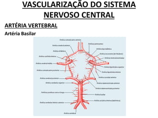 VASCULARIZAÇÃO DO SISTEMA
NERVOSO CENTRAL
ARTÉRIA VERTEBRAL
Artéria Basilar
 