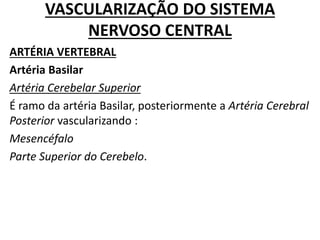 VASCULARIZAÇÃO DO SISTEMA
NERVOSO CENTRAL
ARTÉRIA VERTEBRAL
Artéria Basilar
Artéria Cerebelar Superior
É ramo da artéria Basilar, posteriormente a Artéria Cerebral
Posterior vascularizando :
Mesencéfalo
Parte Superior do Cerebelo.
 