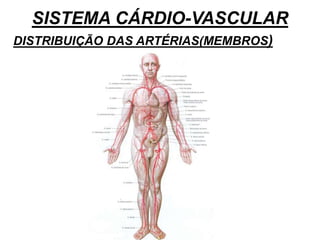 SISTEMA CÁRDIO-VASCULAR
DISTRIBUIÇÃO DAS ARTÉRIAS(MEMBROS)
 