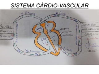 SISTEMA CÁRDIO-VASCULAR
 