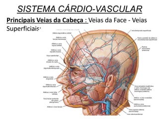 SISTEMA CÁRDIO-VASCULAR
Principais Veias da Cabeça : Veias da Face - Veias
Superficiais:
 