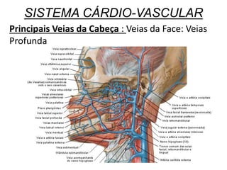 SISTEMA CÁRDIO-VASCULAR
Principais Veias da Cabeça : Veias da Face: Veias
Profunda
 