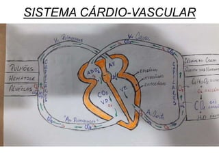 SISTEMA CÁRDIO-VASCULAR
 
