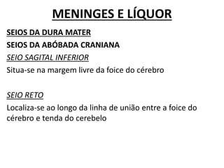 MENINGES E LÍQUOR
SEIOS DA DURA MATER
SEIOS DA ABÓBADA CRANIANA
SEIO SAGITAL INFERIOR
Situa-se na margem livre da foice do cérebro
SEIO RETO
Localiza-se ao longo da linha de união entre a foice do
cérebro e tenda do cerebelo
 