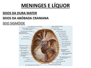 MENINGES E LÍQUOR
SEIOS DA DURA MATER
SEIOS DA ABÓBADA CRANIANA
SEIO SIGMÓIDE
 