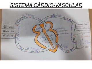 SISTEMA CÁRDIO-VASCULAR
 