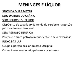 MENINGES E LÍQUOR
SEIOS DA DURA MATER
SEIO DA BASE DO CRÂNIO
SEIO PETROSO SUPERIOR
Dispõe- se de cada lado da tenda do cerebelo na porção
petrosa do osso temporal
SEIO PETROSO INFERIOR
Percorre o sulco petroso inferior entre o seio cavernoso.
PLEXO BASILAR
Ocupa a porção basilar do osso Occipital.
Comunica-se com o seio petroso e cavernoso
 