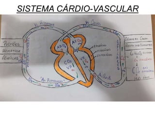 SISTEMA CÁRDIO-VASCULAR
 