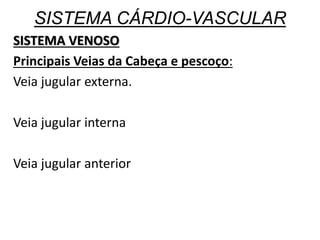 SISTEMA CÁRDIO-VASCULAR
SISTEMA VENOSO
Principais Veias da Cabeça e pescoço:
Veia jugular externa.
Veia jugular interna
Veia jugular anterior
 