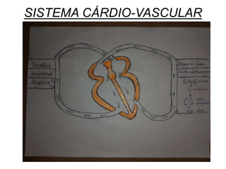 SISTEMA CÁRDIO-VASCULAR
 