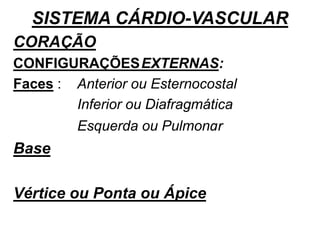 SISTEMA CÁRDIO-VASCULAR
CORAÇÃO
CONFIGURAÇÕESEXTERNAS:
Faces : Anterior ou Esternocostal
Inferior ou Diafragmática
Esquerda ou Pulmonar
Base
Vértice ou Ponta ou Ápice
 